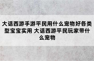 大话西游手游平民用什么宠物好各类型宝宝实用 大话西游平民玩家带什么宠物